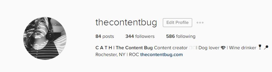 Instagram 1.31 - The Content Bug Update