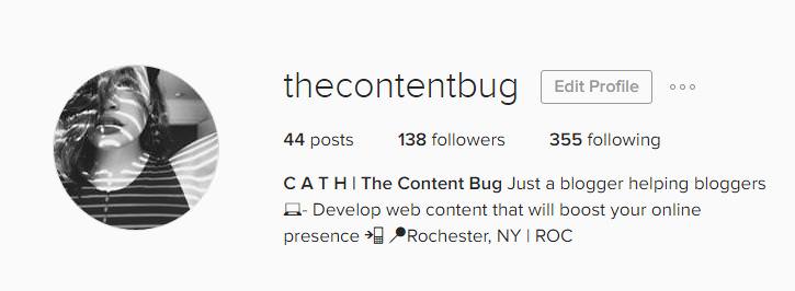 The Content Bug Instagram account January - The Content Bug