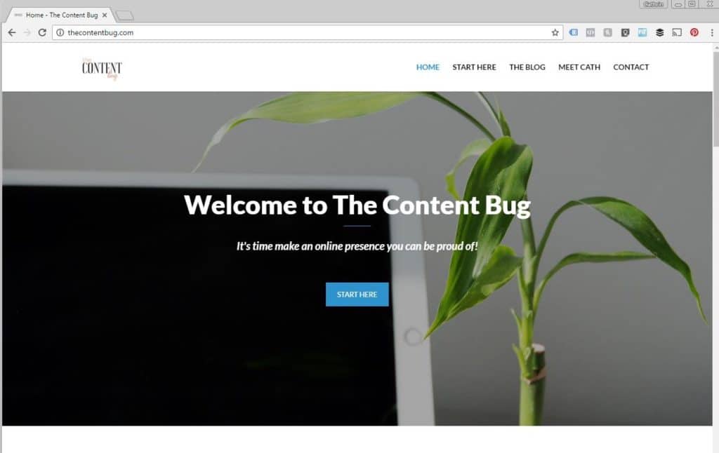 The Content Bug Home - January