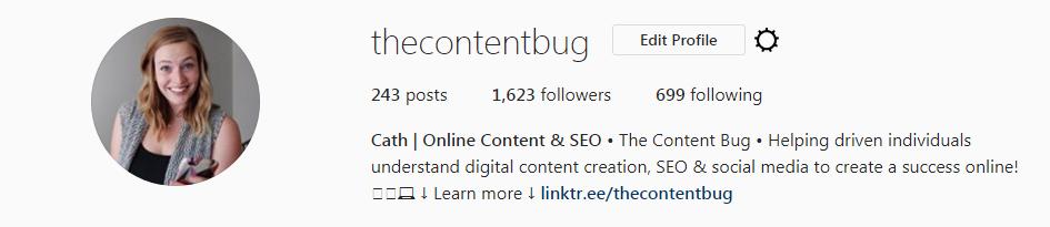 The Content Bug Instagram - August
