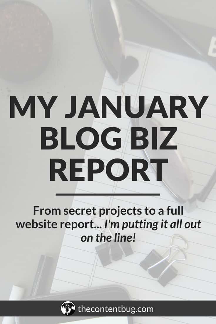 Ever wonder what a full-time blogger's schedule looks like? Or maybe you want to learn what happens behind the scenes of a successful blog? Well today, I'm laying it all out on the line! I'm sharing what I accomplished in January 2018, how I'm moving my yearly goals forward, and what special project is scheduled to launch in a few months! I hope you enjoy my January Blog Biz Report. #incomereport #blogreport