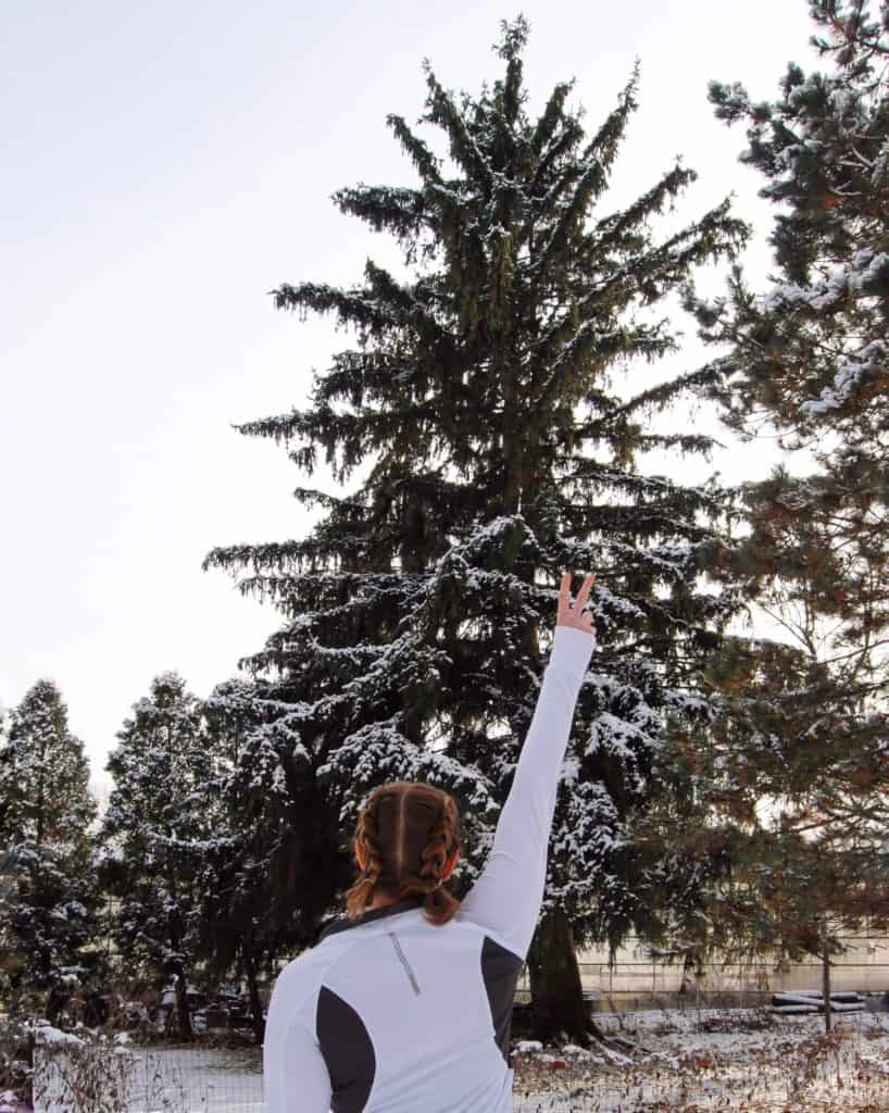 TheContentBug snow Instagram photo